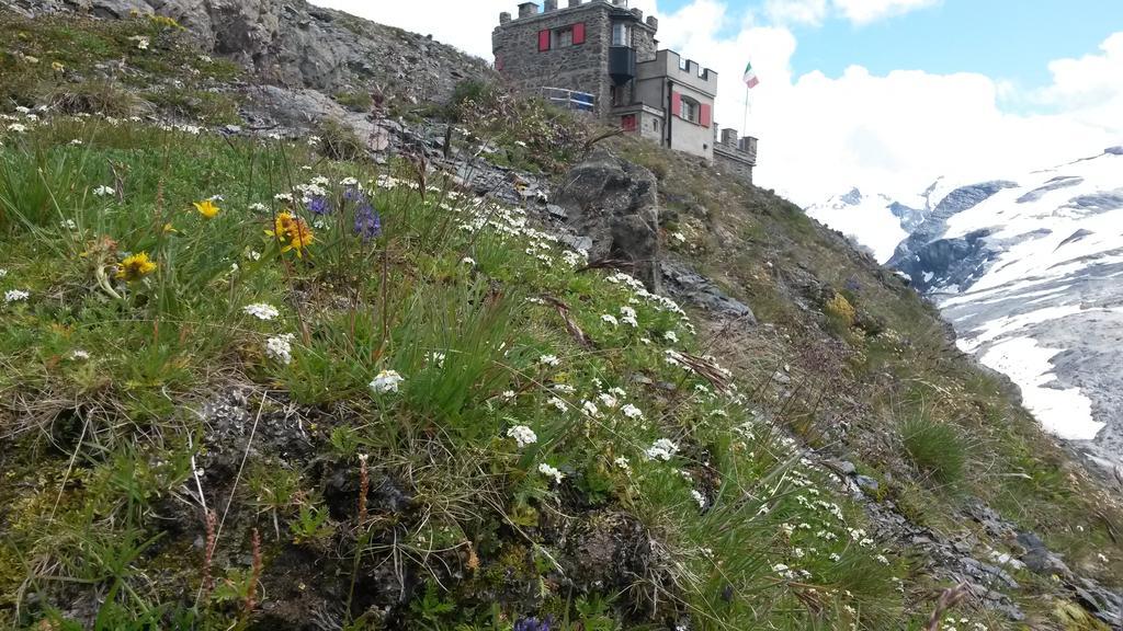 Rifugio Garibaldi Hotel Paso Stelvio Exterior foto